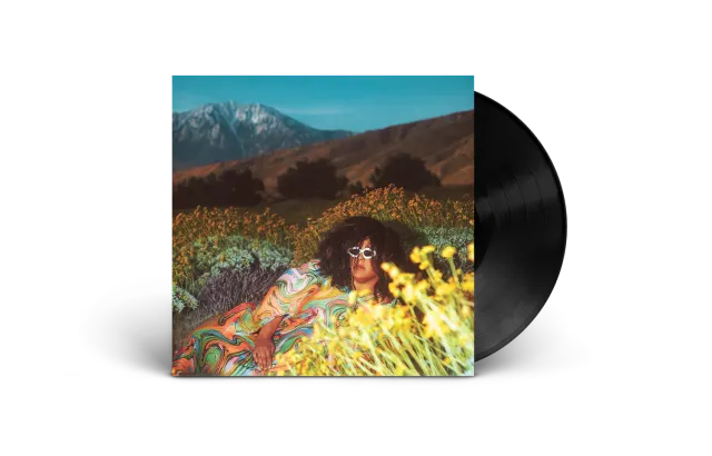 EMI What Now Vinyle LP 12 titres édition standard
