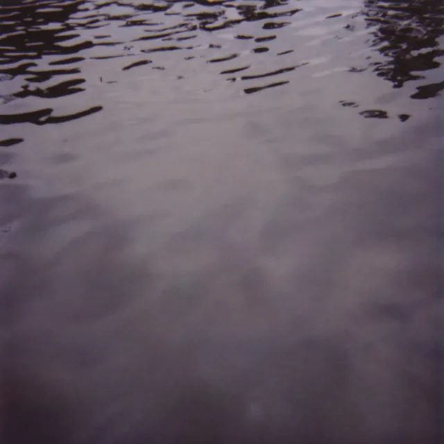 Temporary Residence Tarentel We Move Through Weather vinyle
