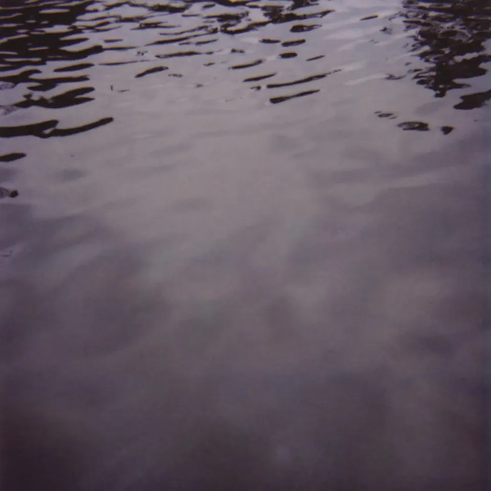 Temporary Residence Tarentel We Move Through Weather vinyle