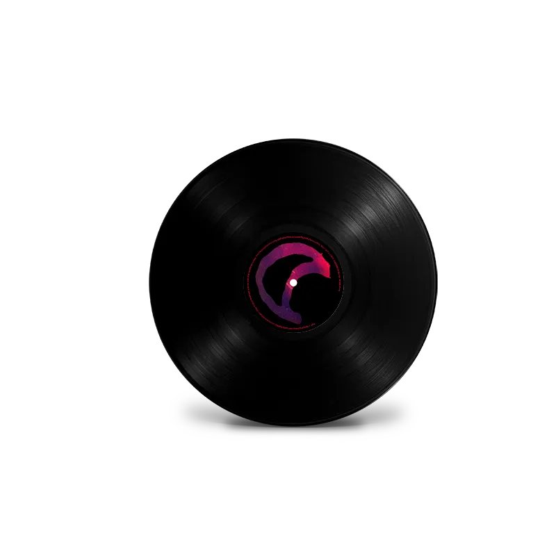 EMI Beholder Standard vinyle noir
