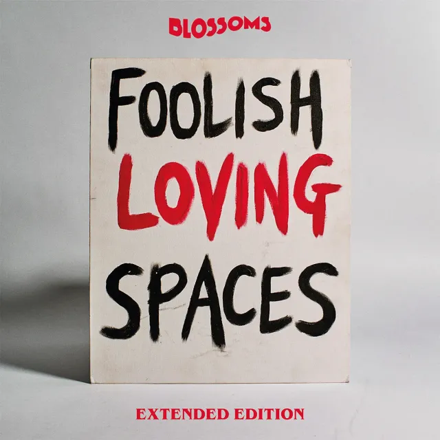 EMI Foolish Loving Spaces double CD extended