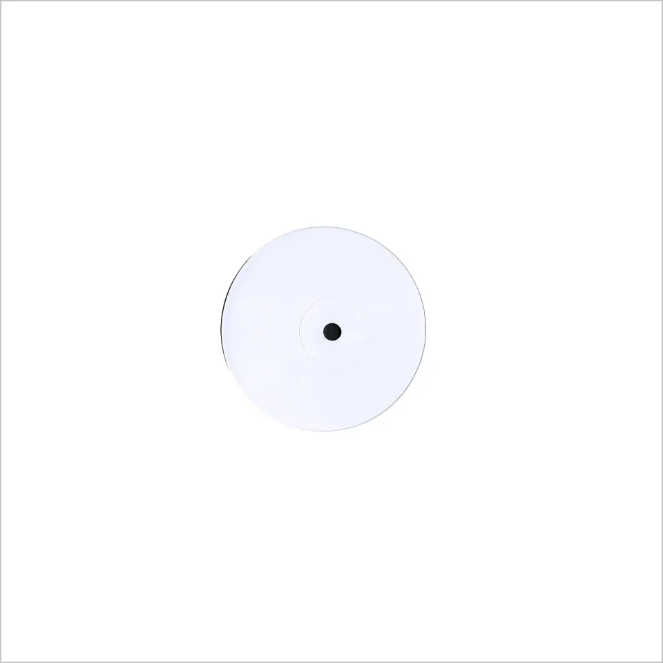 Omnivore Recordings JD Souther Home By Dawn Vinyle Test Pressing