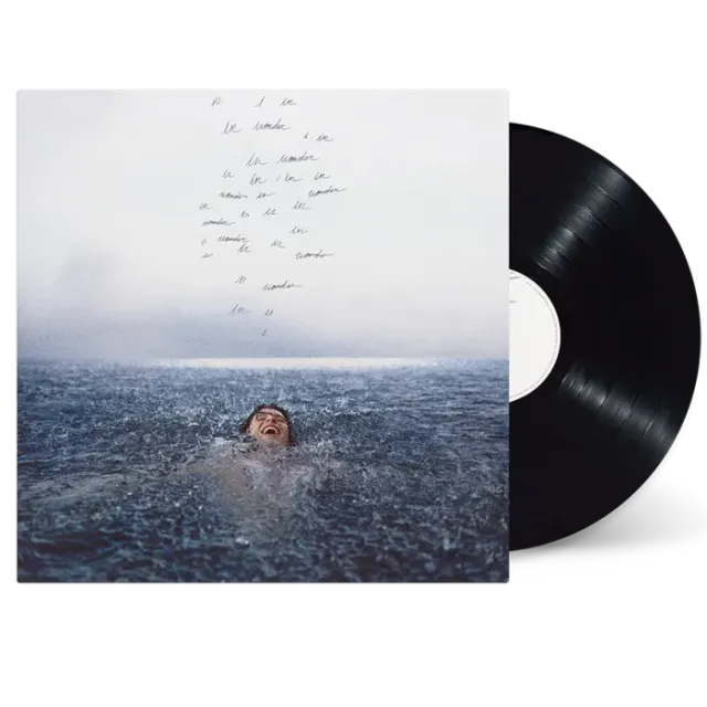 Shawn Mendes Wonder vinyle standard noir pop