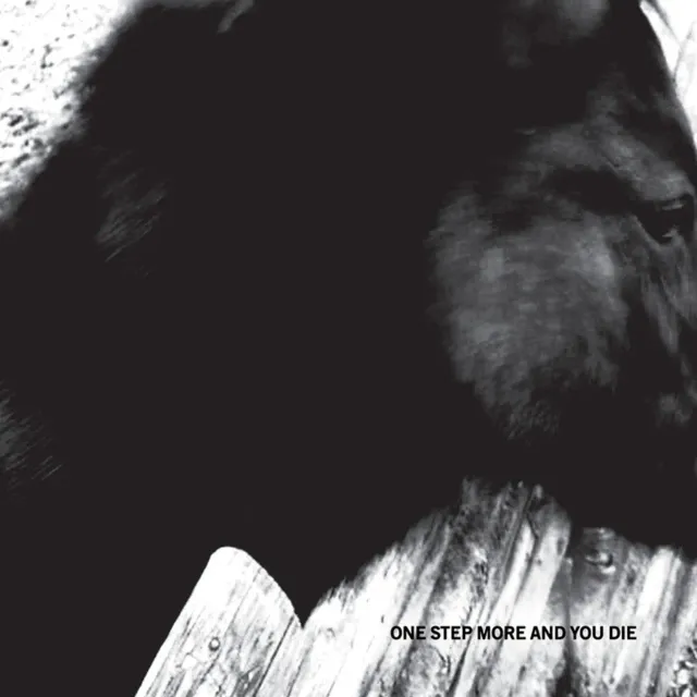 Mono One Step More And You Die double vinyle noir post-rock