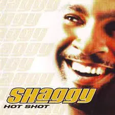 EMI Hot Shot 2020 CD édition standard