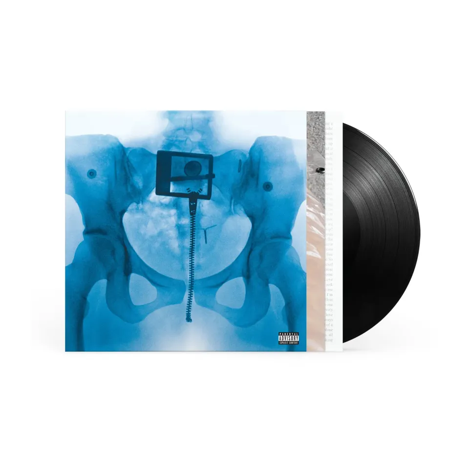 Lorde Virgin vinyle LP noir standard