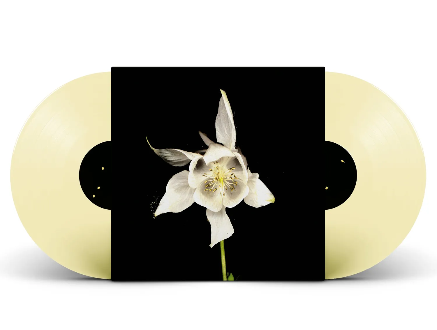 Temporary Residence Fridge Happiness Anniversary 2xLP crème