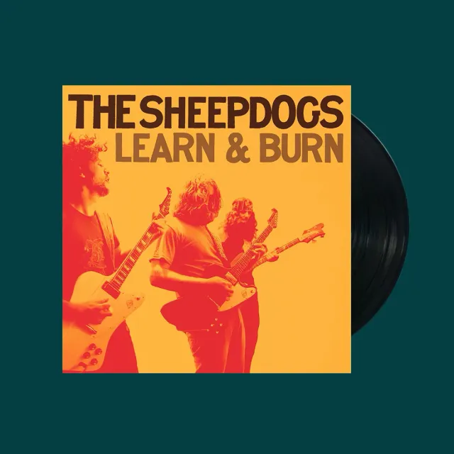 Sheepdogs Recording Co Learn & Burn LP vinyle noir 15 titres