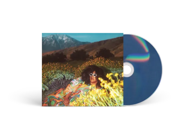 Brittany Howard What Now CD 12 titres