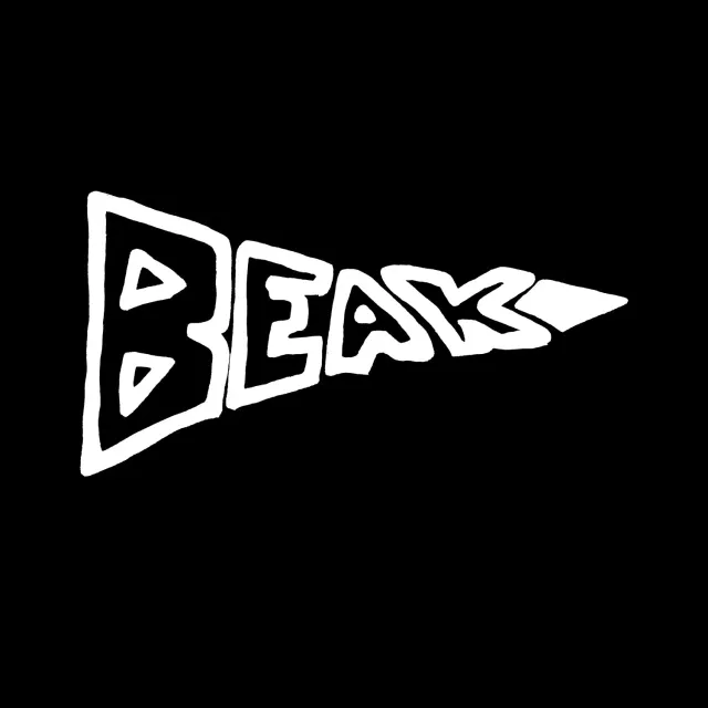 Temporary Residence BEAK> Beak> double vinyle 2xLP noir